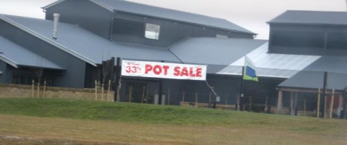 Pot Sale.JPG (26 KB)